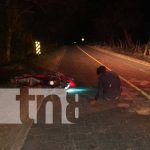 ¡Pero qué caballo! Equino provoca par de accidentes en Nueva Segovia Foto: Accidente en Jalapa por culpa de un caballo / TN8