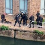 Sin piedad policías matan a balazos a dos perros en una calle de Londres