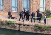 Sin piedad policías matan a balazos a dos perros en una calle de Londres Sin piedad policías matan a balazos a dos perros en una calle de Londres