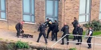 Sin piedad policías matan a balazos a dos perros en una calle de Londres