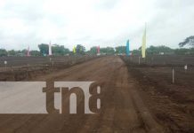 Foto: Alcaldía de Managua entrega lotes en Villa Esperanza / TN8
