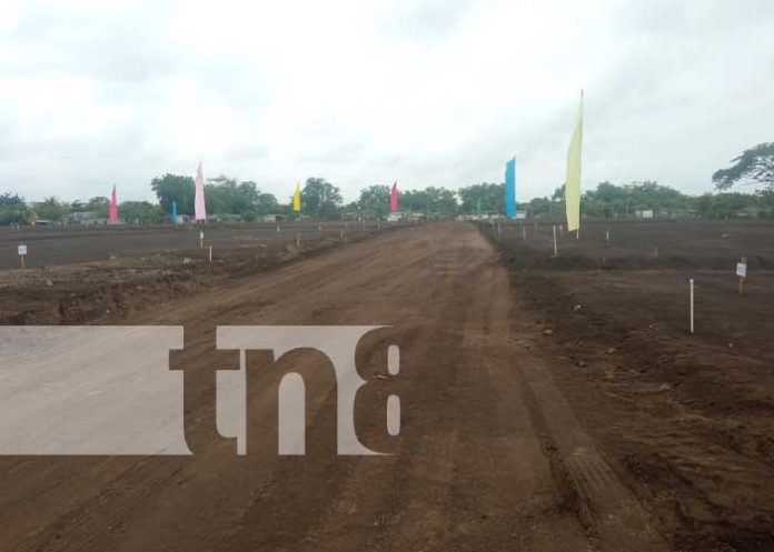 Foto: Alcaldía de Managua entrega lotes en Villa Esperanza / TN8