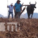 productores de Matagalpa con buenas expectativas