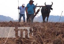 Todo listo para las siembras de primera en Matagalpa, solo esperan las lluvias productores de Matagalpa con buenas expectativas