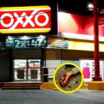 En México una madre llora a su hijo ladrón abatido ¡me mataron a mi bebé! En México una madre llora a su hijo ladrón abatido ¡me mataron a mi bebé!