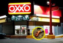 En México una madre llora a su hijo ladrón abatido ¡me mataron a mi bebé! En México una madre llora a su hijo ladrón abatido ¡me mataron a mi bebé!