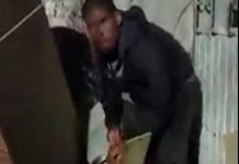 ¡Espeluznante video! Hombre se devora un perro en una calle de México ¡Espeluznante video! Hombre se devora un perro en una calle de México