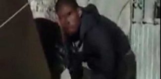 ¡Espeluznante video! Hombre se devora un perro en una calle de México