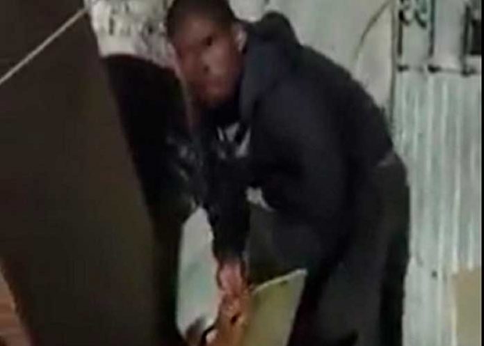 ¡Espeluznante video! Hombre se devora un perro en una calle de México