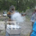 Don Manuel, ejemplo de tener éxito con la miel en Diriomo, Granada Foto: Producción de miel en Diriomo, Granada / TN8