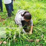 MARENA da inicio a la campaña Verde que te Quiero Verde en Boaco Foto: Campaña de siembra de árboles en Boaco / TN8