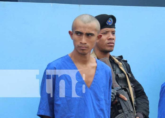 Foto: Presentan a sujeto por homicidio de una mujer en Siuna / TN8