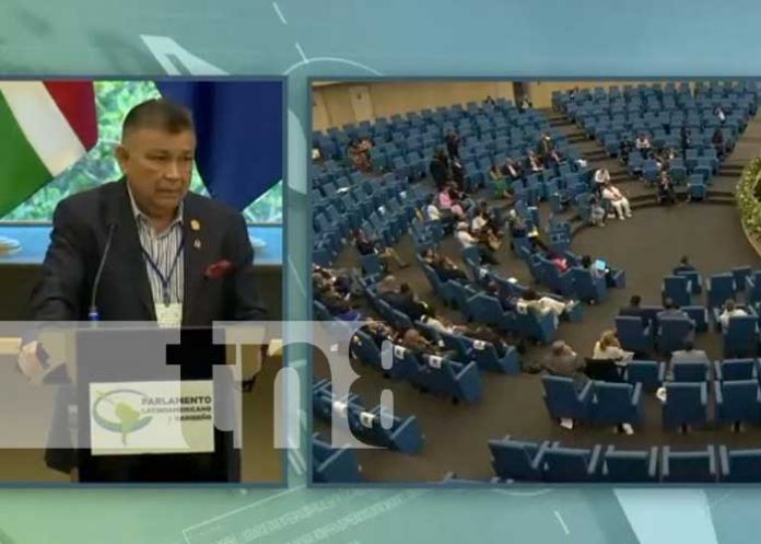 navarro-1 Foto: Diputado Wilfredo Navarro en el PARLATINO