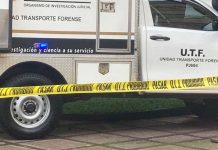 Tras varias horas de búsqueda, hallan muerto a «nica» en Alajuela, Costa Rica Tras varias horas de búsqueda, hallan muerto a "nica" en Alajuela, Costa Rica