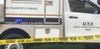 Tras varias horas de búsqueda, hallan muerto a "nica" en Alajuela, Costa Rica