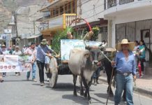 Hermosa celebración del “Día del Agrónomo en honor a San Isidro Labrador” en Jinotega
