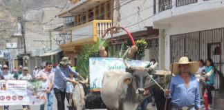 Hermosa celebración del “Día del Agrónomo en honor a San Isidro Labrador” en Jinotega