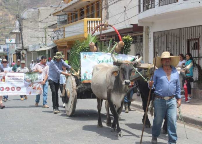 Hermosa celebración del “Día del Agrónomo en honor a San Isidro Labrador” en Jinotega