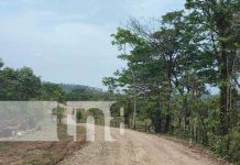Foto: Nuevo proyecto carretero de Paiwás / TN8