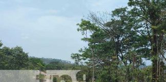 Foto: Nuevo proyecto carretero de Paiwás / TN8