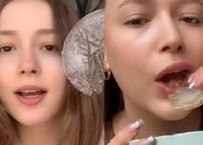 papahielo-1 Foto: Reto viral de papitas de hielo en TikTok