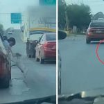 Cruel familia abandona a su perrito en la carretera y él los sigue a toda prisa Cruel familia abandona a su perrito en la carretera