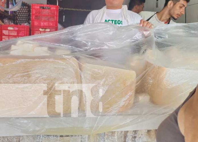 queso-3 Foto: Puesto de venta de queso en el Mercado Iván Montenegro / TN8
