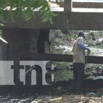 Antes que se venga el aguacero, intensifican limpieza en la ciudad de Rivas Foto: Jornada de limpieza en calles de Rivas / TN8