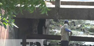 Foto: Jornada de limpieza en calles de Rivas / TN8
