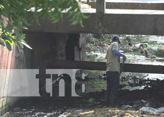 Foto: Jornada de limpieza en calles de Rivas / TN8