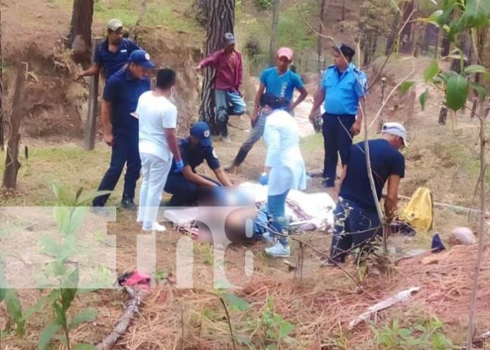 sanfer-44 Foto: Hombre muere mientras cortaba un árbol en San Fernando, Nueva Segovia / TN8