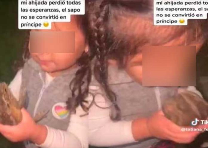 Niña besa a sapo y se decepciona porque no se convirtió en “príncipe”