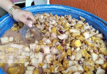 Esto y más es lo que lleva la popular «Chicha de las 7 Quebradas» Foto: "Chicha de las 7 Quebradas" en Managua / TN8