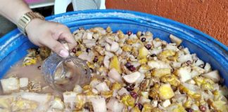 Foto: "Chicha de las 7 Quebradas" en Managua / TN8