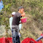 ¡No respetan! Sacan leche y helados de camión tras mortal accidente en Boaco Foto: Mortal accidente con camión en Boaco / TN8