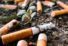 OMS impulsa campaña para que productores de tabaco cambien de cultivo