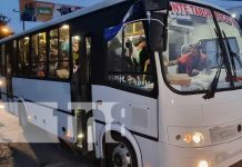 Foto: Nuevos buses para Managua / TN8