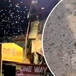 ¡Arrepiéntanse, el fin está cerca! Pánico por apocalíptica lluvia de gusanos ¡Arrepiéntanse, el fin está cerca! Pánico por apocalíptica lluvia de gusanos