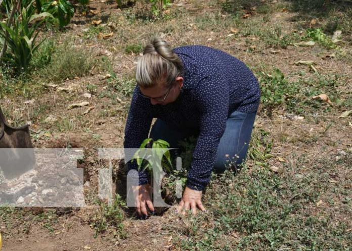 Foto: Nuevo vivero en la Escuela Nacional de Sargentos / TN8