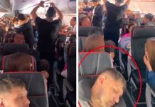 VIDEO: Sin miedo al éxito le pide matrimonio en pleno vuelo Romántica pedida de mano en vuelo se hace viral