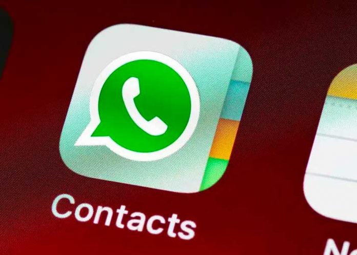 what1 WhatsApp añade nombres de usuario