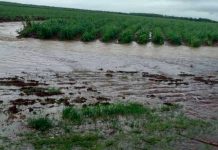 Cuba registra afectaciones por intensas lluvias Foto: Cuba registra afectaciones en las vías tras intensas lluvias / Cortesía