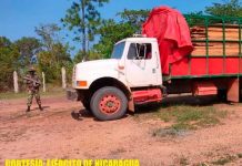 Destacamento Militar Norte ocupa madera que era trasladado ilegalmente en Bilwi Destacamento Militar Norte ocupa madera que era trasladado ilegalmente en Bilwi