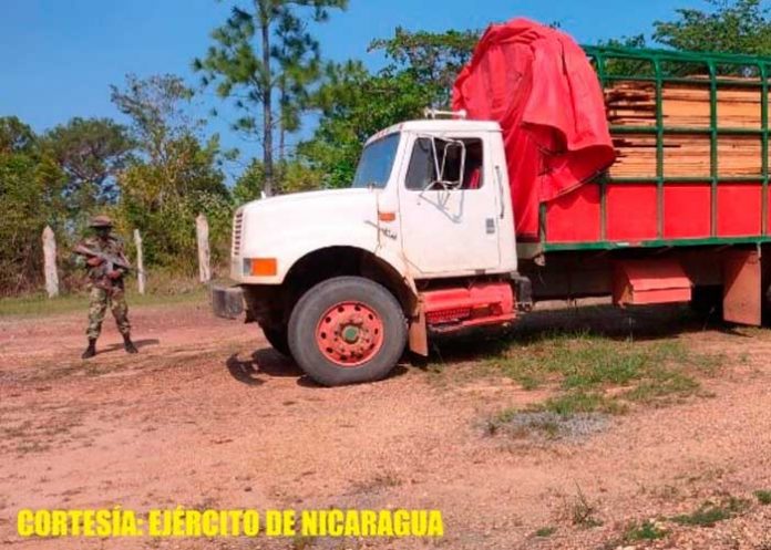 Destacamento Militar Norte ocupa madera que era trasladado ilegalmente en Bilwi