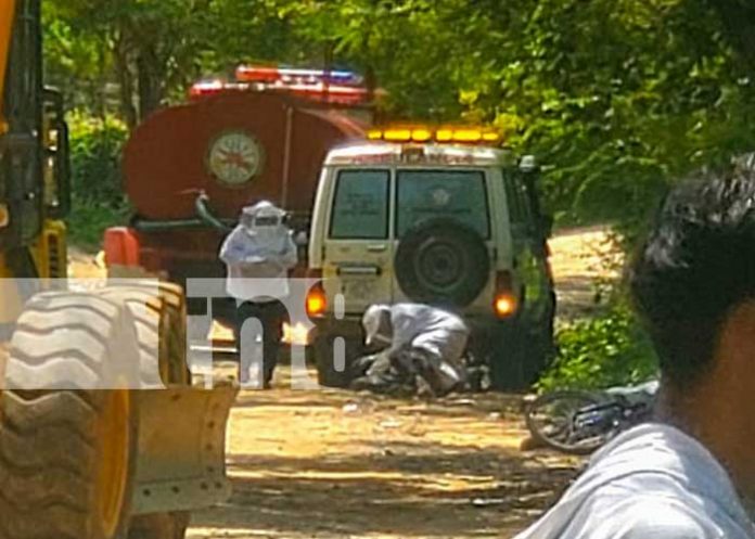 Cinco personas sufren picaduras de abejas africanizadas en Mozonte