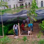 Siuna cuanta con un nuevo vivero en la casa de Cultural Mamá Cheya Siuna cuanta con un nuevo vivero en la casa de Cultural Mamá Cheya