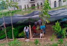 Siuna cuanta con un nuevo vivero en la casa de Cultural Mamá Cheya