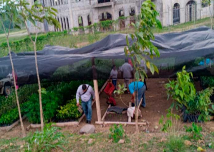 Siuna cuanta con un nuevo vivero en la casa de Cultural Mamá Cheya