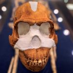 Las tumbas más antiguas del mundo que se remontan al 200.000 a. C., están en África Las tumbas más antiguas del mundo que se remontan al 200.000 a. C., están en África