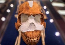 Las tumbas más antiguas del mundo que se remontan al 200.000 a. C., están en África